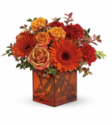 Fresh Orange Flower Delivery in Halifax,NS - Send Today!