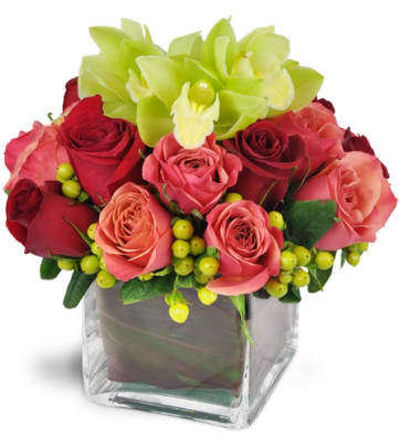 Fresh Orange Flower Delivery in Victoria-Fraserview, E Vancouver,BC - Send  Today!