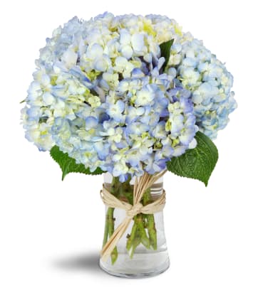 Fresh Blue Flower Delivery In Upper