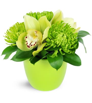 Fresh Green Flower Delivery in Ottawa,ON - Send Today!