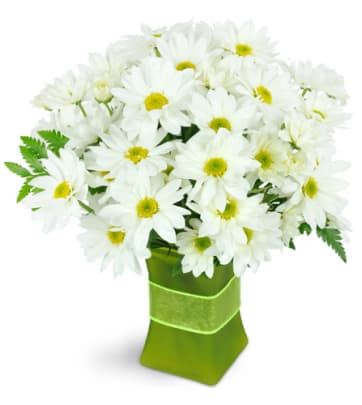 Green Bouquets, Send Green Flower Arrangements