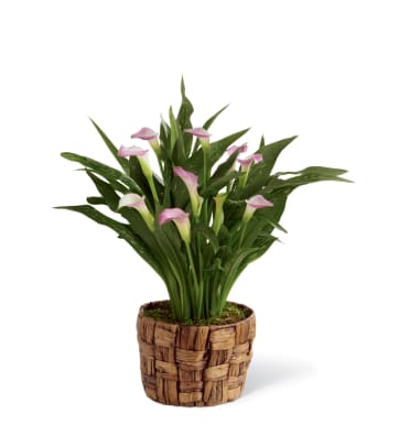 The FTD® Pink Lily Bouquet