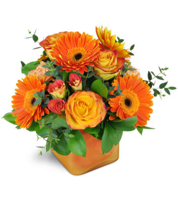 Fresh Orange Flower Delivery In Upper