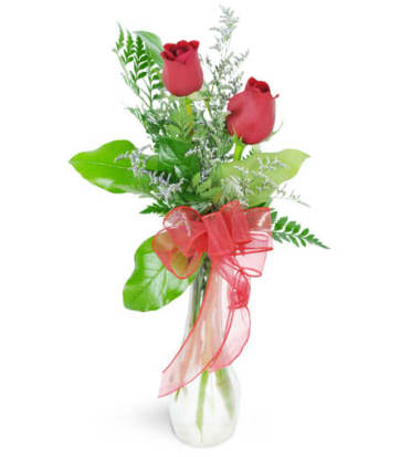 Same Day Flower Delivery In Newark De