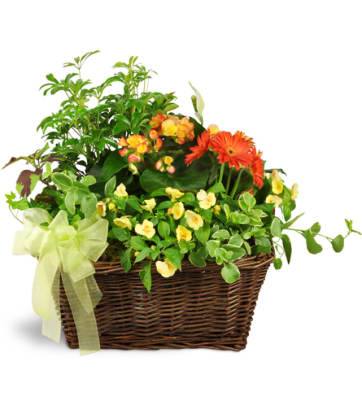 Flowers Over 80 Cottage Flowers Inc Fort Wayne In Florist