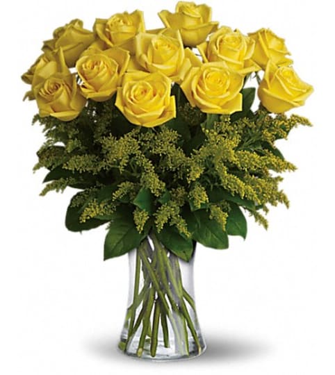 Burst of yellow roses