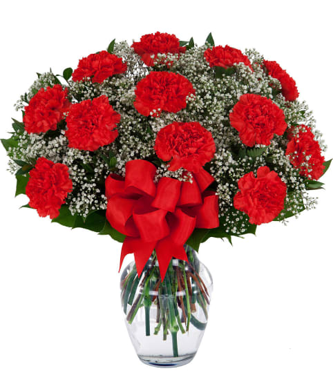 12 Red Carnations Arranged in a Glass Vase