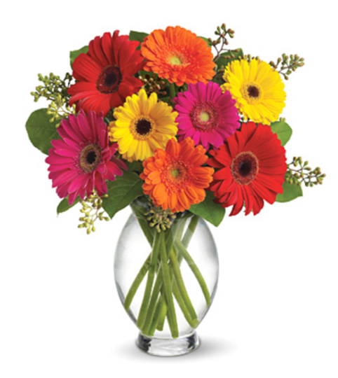 Teleflora Gerbera Brights Bouquet