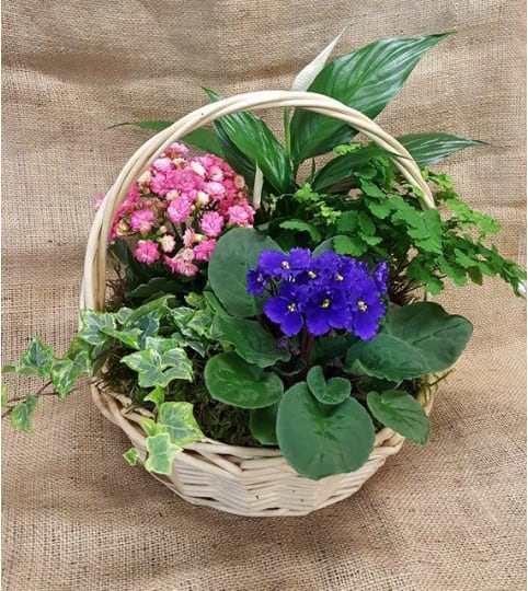 European Garden Basket