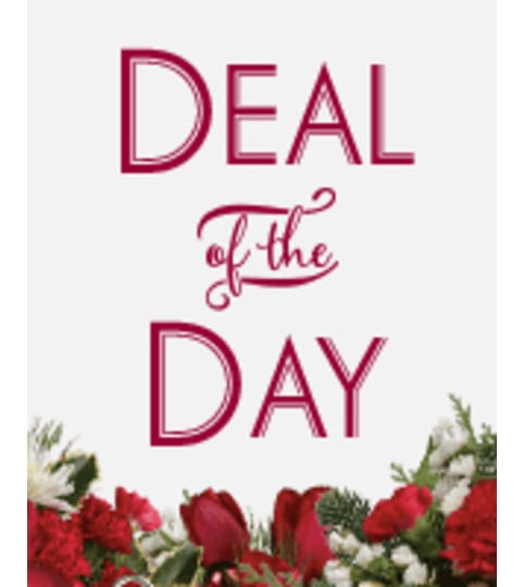 Deal of the DAY Christmas. An arrangement by Fine's Flowers.