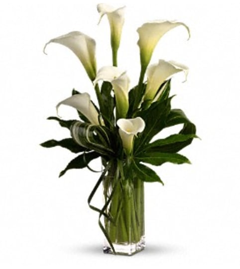 My Fair Lady by Teleflora - by Jennifer's Flowers