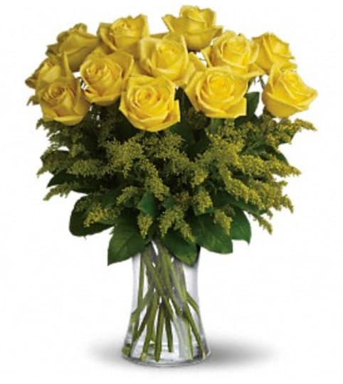 One dozen yellow roses arranged