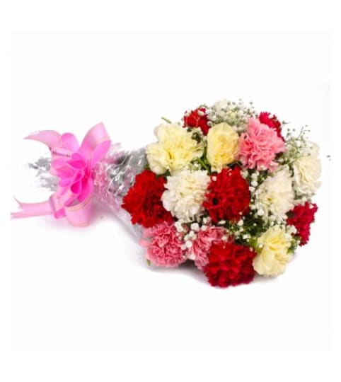 Assorted Carnations (wrapped or vase)