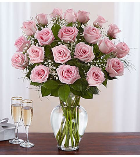 Pink Roses Two Dozen