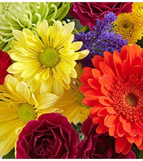 Designer's Choice - Vibrant. An arrangement by Flowers of Jacksonville.
