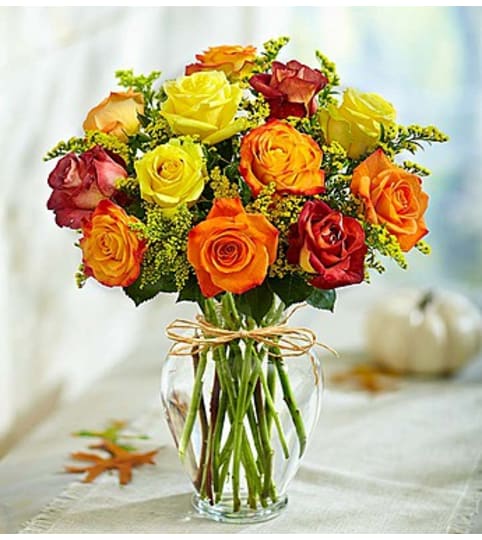 Rose Elegance™ Premium Autumn Roses by 1800 Flowers