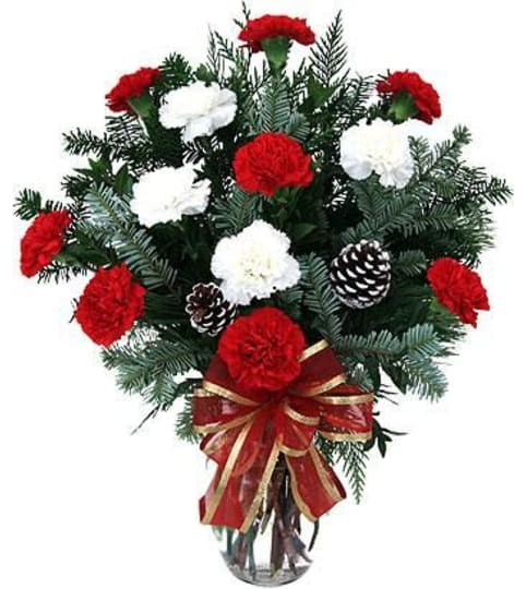 Christmas Carnations