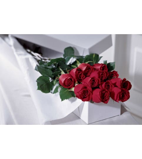 1 Dozen Boxed Roses