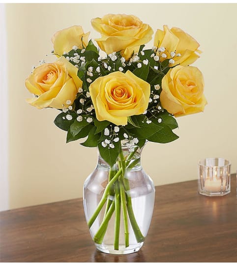 6 YELLOW ROSES