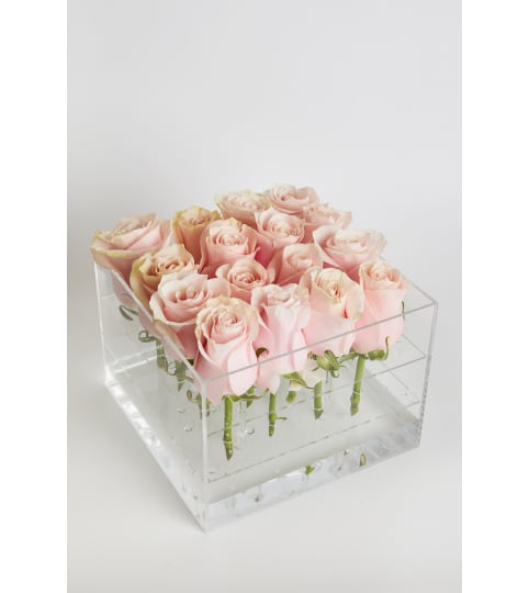 Acrylic Box square 16 Roses