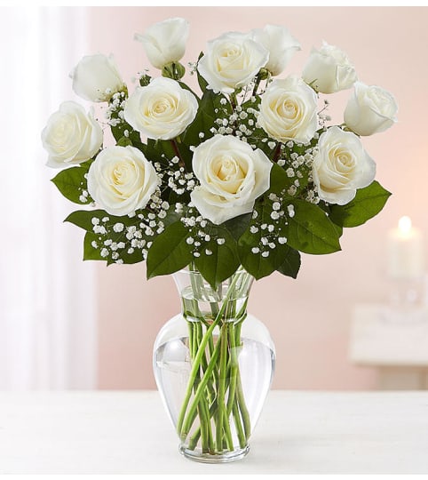 Beautiful Long Stem White Roses