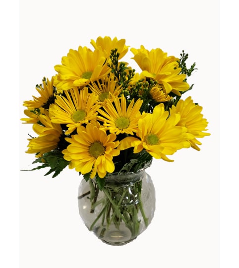 Fresh as a Daisy. An arrangement by Flowers Plus.