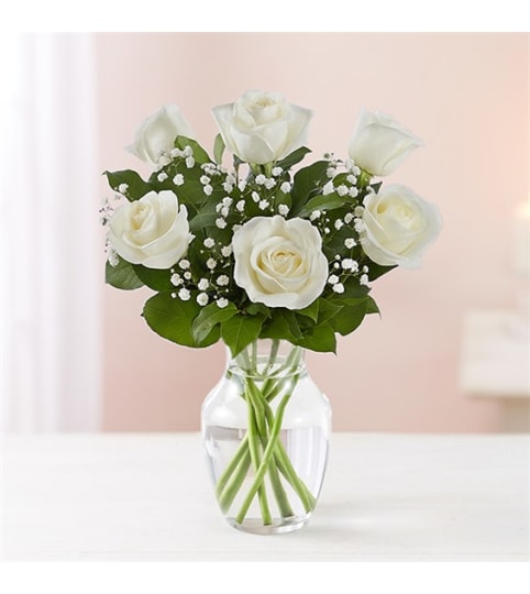 6 White roses w/vase