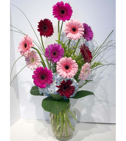 Glorious Gerbs. An arrangement by My Mother's Bloomers.