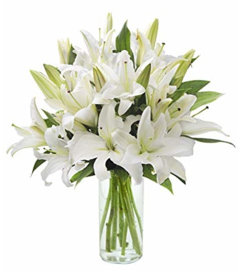 Perfect White Lilies