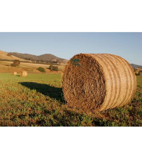 hay round bales