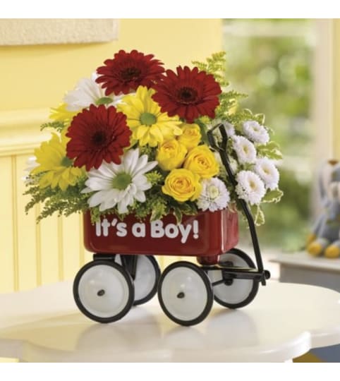 Baby Boy Red Wagon