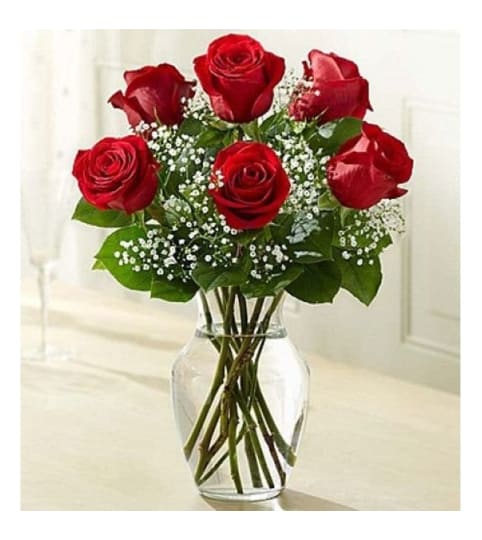 1/2 DOZEN RED ROSES IN VASE WITH GREENS AND FILLER