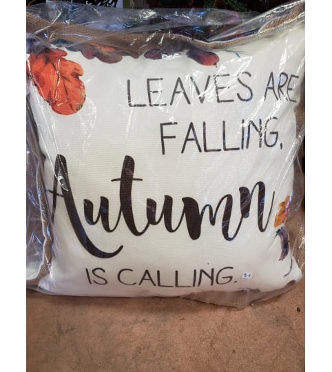 Fall Pillow