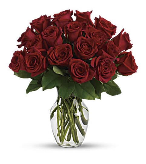 The Enduring Passion - 12 Red Roses. An arrangement by Mamaroneck Flowers.