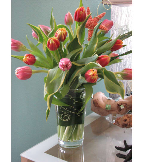 Spiraling Tulips