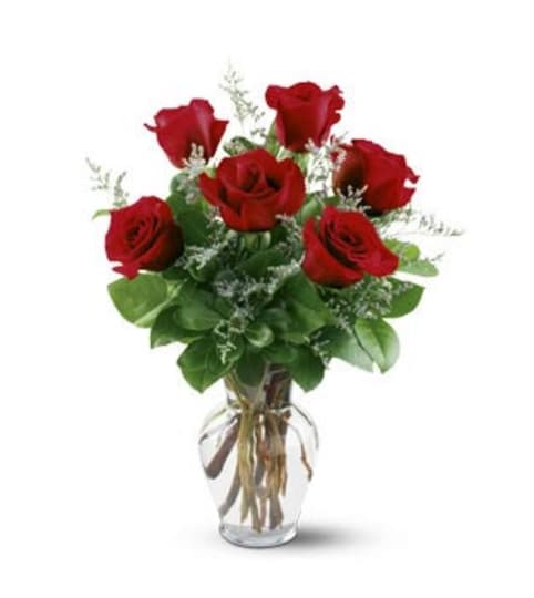 6 RED ROSES ARRANGED IN A VASE