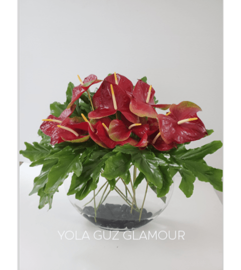 Red Anthurium Low Design