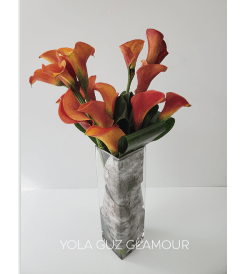 Contemporary Callas