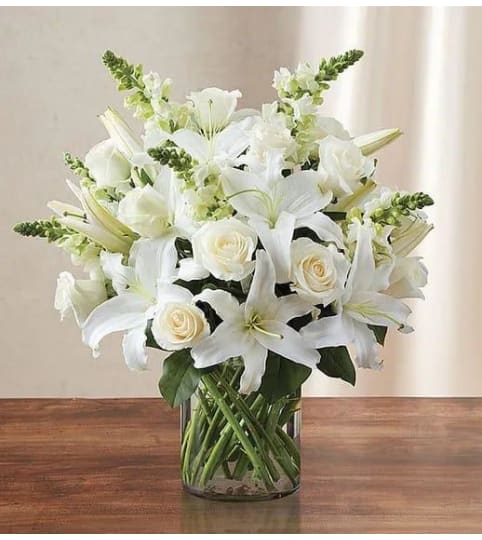 Beautiful Vase in  White
