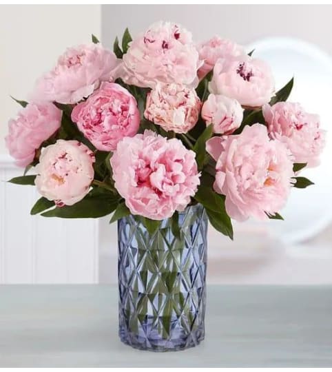 Pink Pure Elegant Peonies