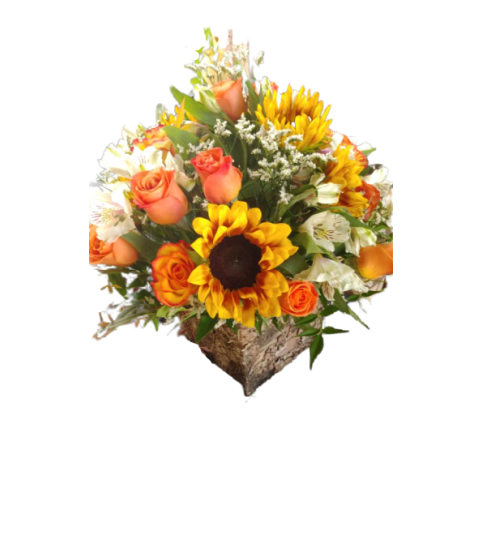 Country Sunrise. An arrangement by Pandora's Posies.