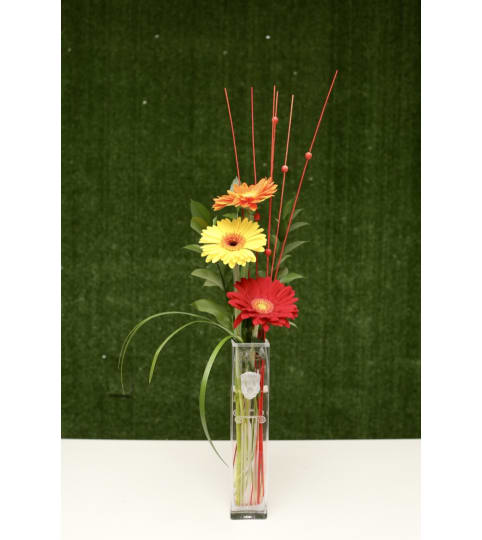 Gerbera Daisys in a Premium Polish Vase