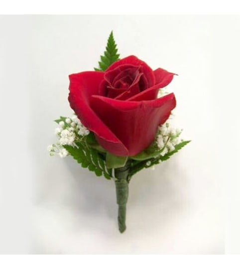 Perfect Red Rose Bout