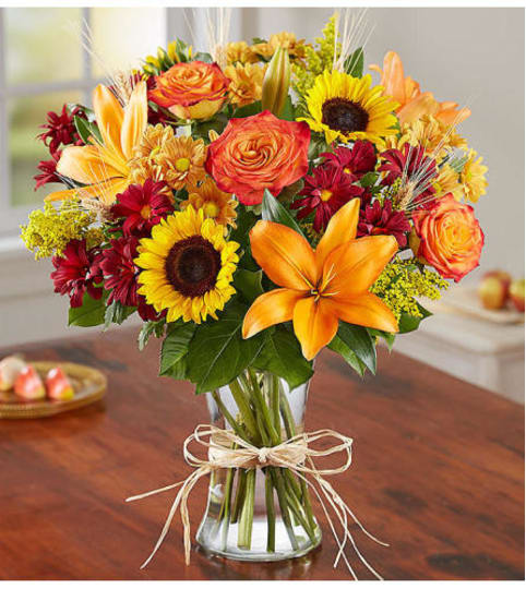 Fall Fields. An arrangement by Novak's Flower Shoppe.