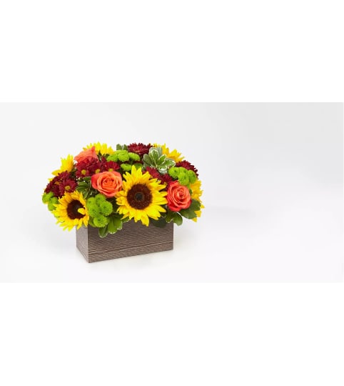 Sunflower Harvest Garden. An arrangement by Novak's Flower Shoppe.