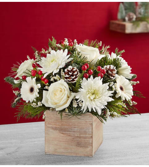 FESTIVE TIDINGS. An arrangement by J.D. Ballantine's Flowers and Gifts.
