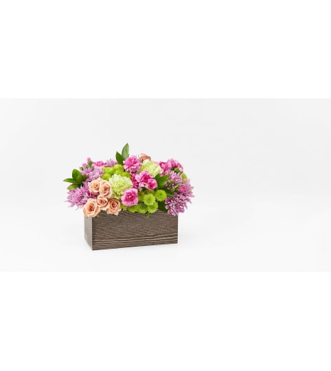 SIMPLY SWEET CHARM. An arrangement by Novak's Flower Shoppe.
