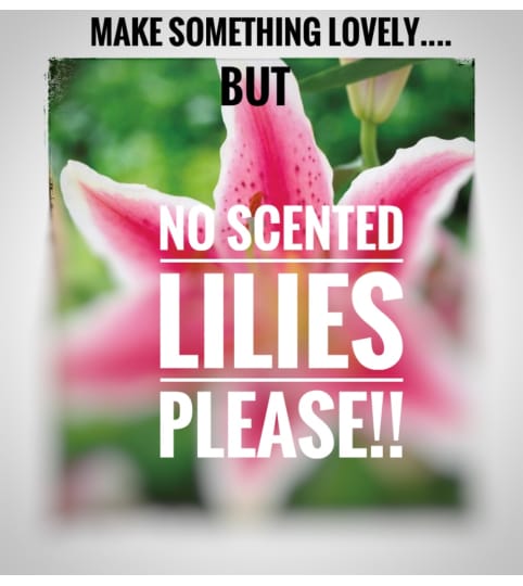 No Lilies Please!