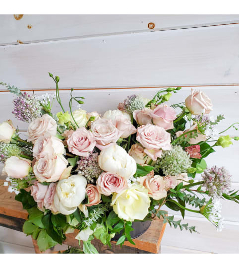 Foraged Floral Best of Blush Tones