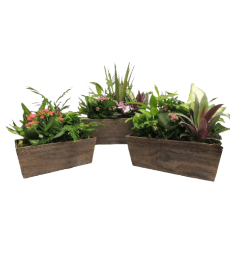 Stained Rectangle Wooden Planter